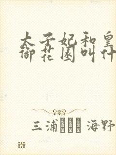 太子妃和皇帝在御花园叫什么小说