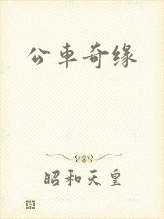 公车奇缘