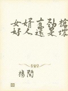 女婿有劲枪枪是好人还是坏人