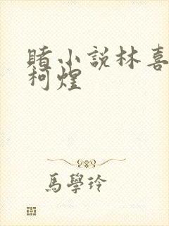 赌小说林喜朝和柯煜