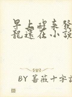 早上醒来发现巨龙还在小说