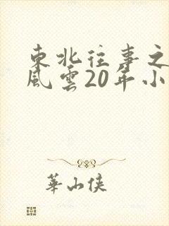 东北往事之黑道风云20年小说