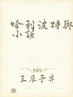 哈利波特与密室小说