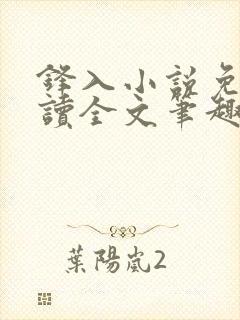 锋入小说免费阅读全文笔趣阁