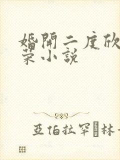 婚开二度欣欣向荣小说