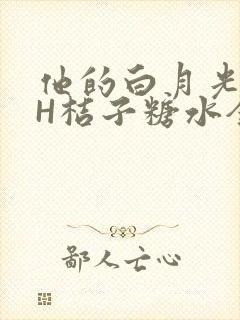 他的白月光HVH桔子糖水全文