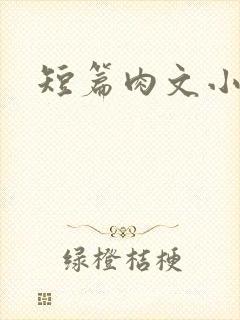 短篇肉文小说
