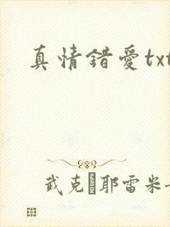 真情错爱txt