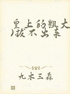 皇上的粗大(h)拔不出来