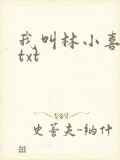 我叫林小喜小说txt