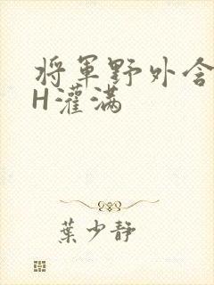 将军野外含公主H灌满