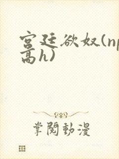 宫廷欲奴(np高h)