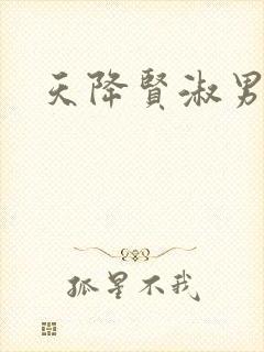 天降贤淑男小说