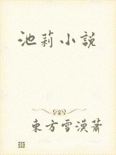 池莉小说