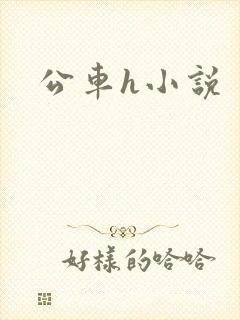 公车h小说