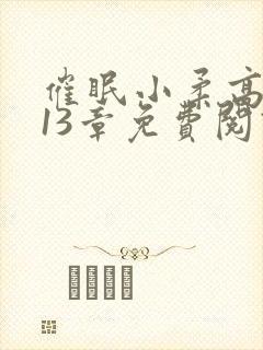 催眠小柔高达第13章免费阅读