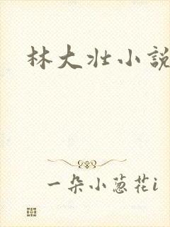 林大壮小说阅读
