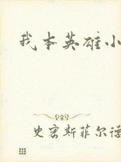 我本英雄小说