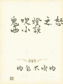 鬼吹灯之怒晴湘西小说