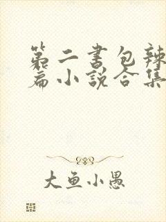 第二书包辣网短篇小说合集