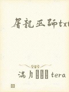 屠龙巫师txt