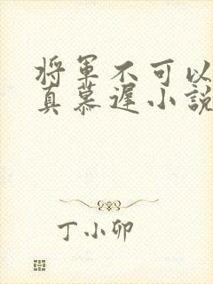 将军不可以魏云真慕迟小说笔趣阁