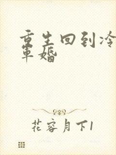 重生回到冷战前军婚