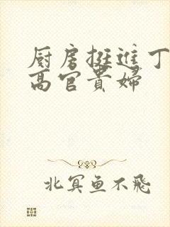 厨房挺进丁字裤高官贵妇