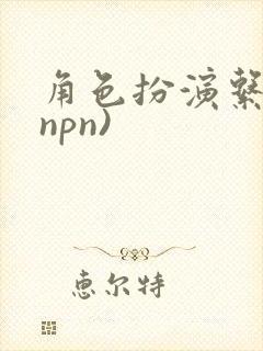 角色扮演系统(npn)