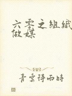 六零之组织给我做媒