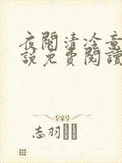 夜阑清冷意欢小说免费阅读