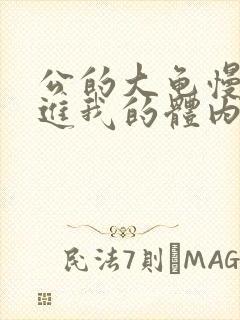 公的大龟慢慢挺进我的体内视频