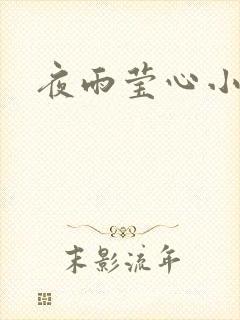 夜雨莹心小说