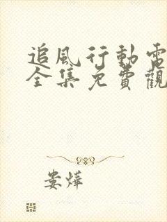 追风行动电视剧全集免费观看