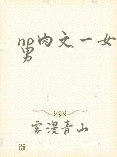 np肉文一女多男