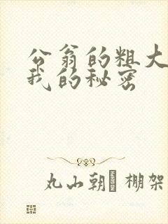 公翁的粗大放进我的秘密