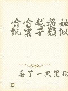 偷偷越过她by甄栗子类似小说