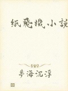 纸飞机小说