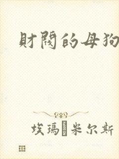 财阀的母狗们