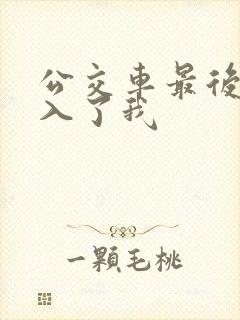 公交车最后一排入了我