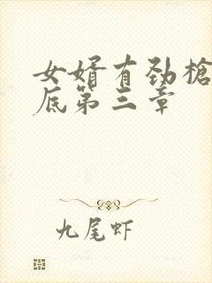 女婿有劲枪枪到底第三章