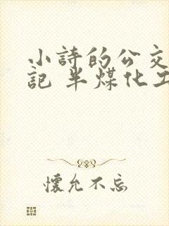 小诗的公交车日记 半煤化工