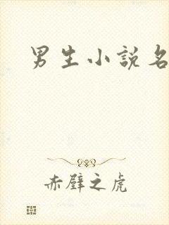 男生小说名字