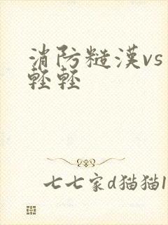 消防糙汉vs宋轻轻