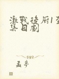 激战后厨1至5集日剧