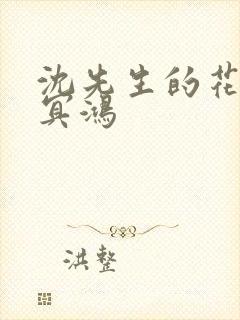 沈先生的花式调冥鸿