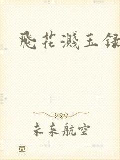 飞花溅玉录