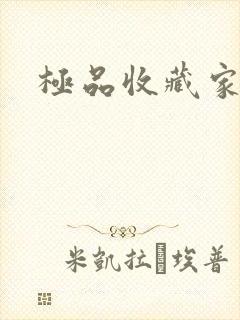 极品收藏家