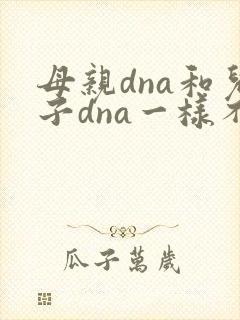 母亲dna和儿子dna一样不