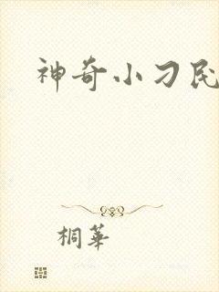 神奇小刁民